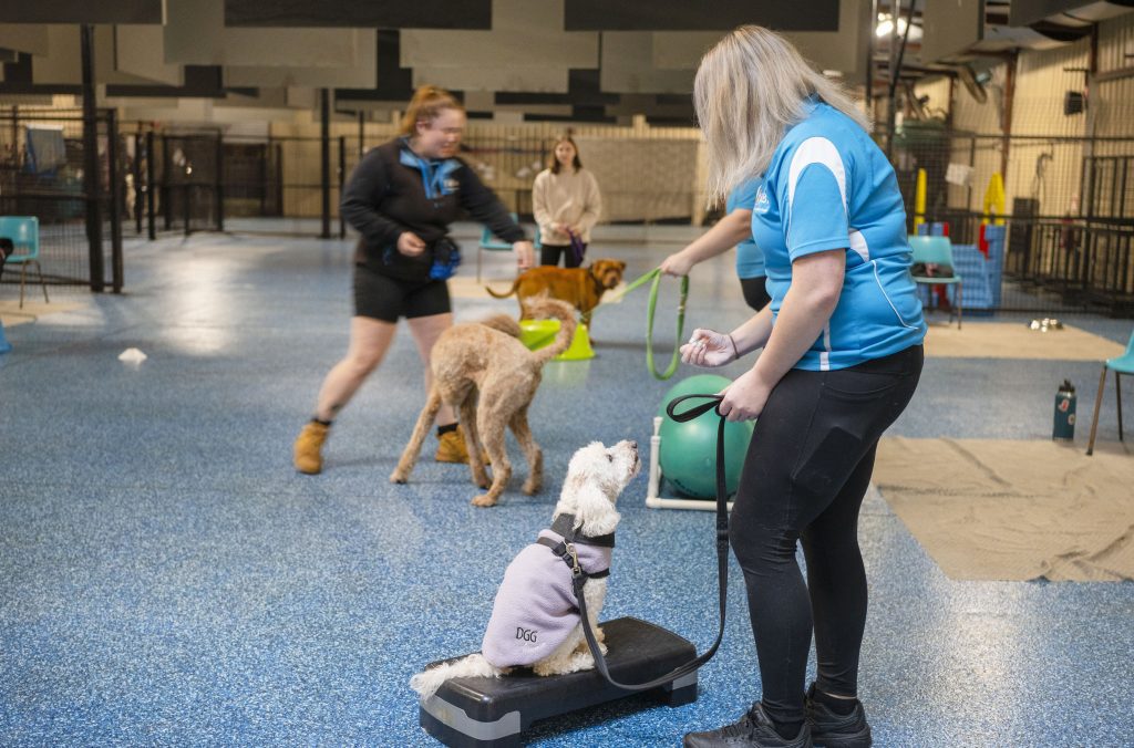 Confidence & Agility Mini Workshop 1