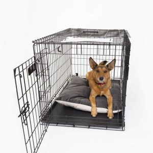 Wire Crate