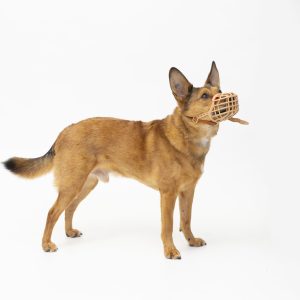Basket Muzzle