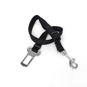 Seat Belt Strap