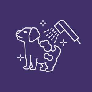 Grooming & handling positive conditioning training