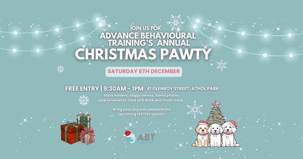 Dog Xmas Party! 1