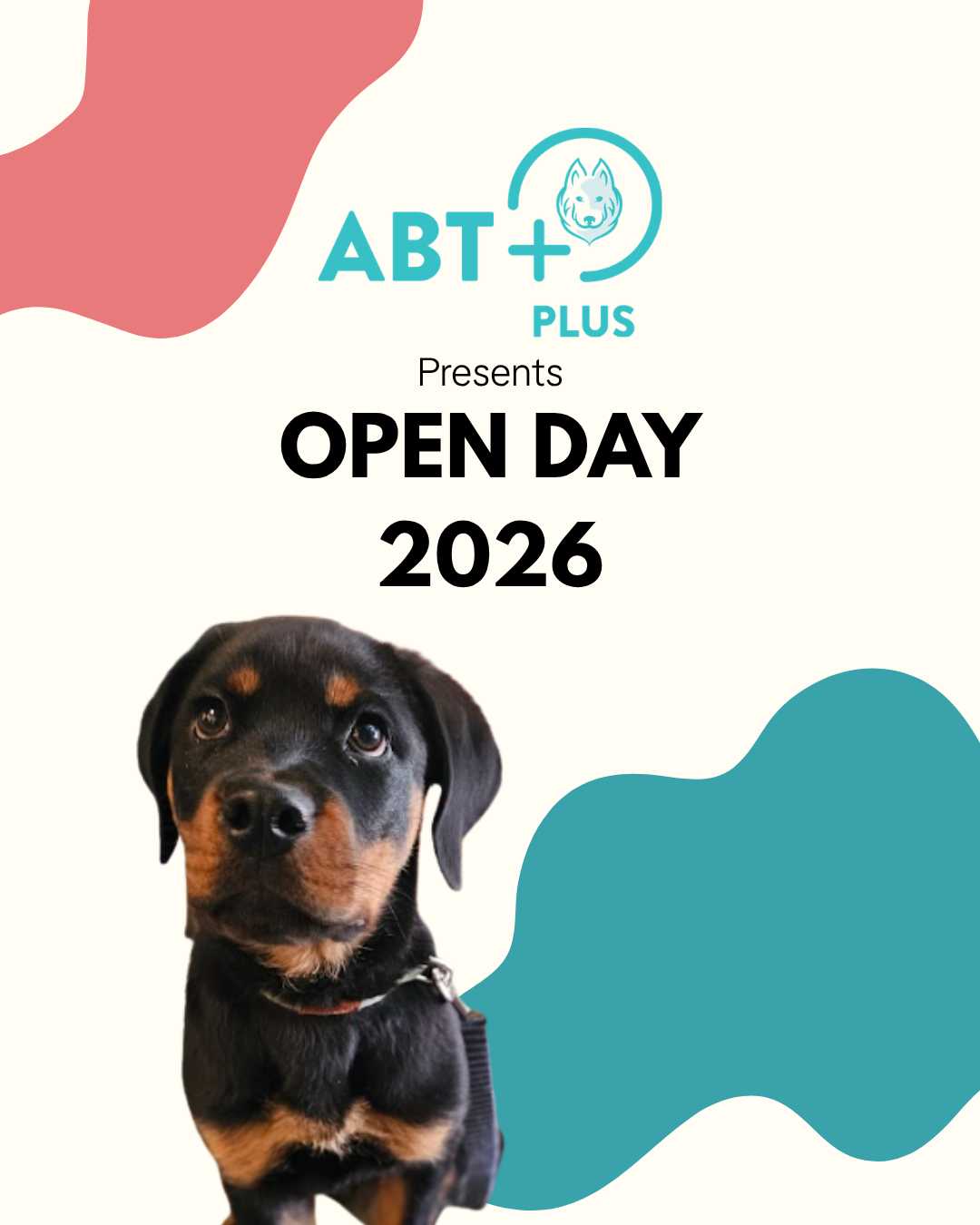 Open day social Media splash image